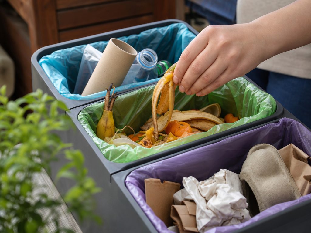 Smart Sustainability: How to Make Eco-Friendly Living Effortless (article editorial guide): a close-up detail shot of the subject
